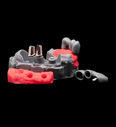 Image from the gallery