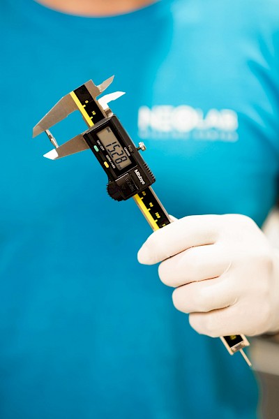 Image from the gallery