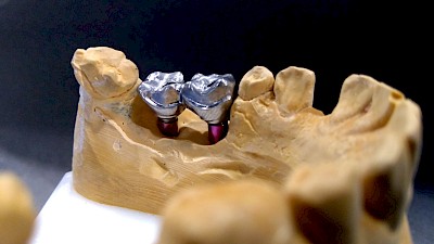 Image from the gallery