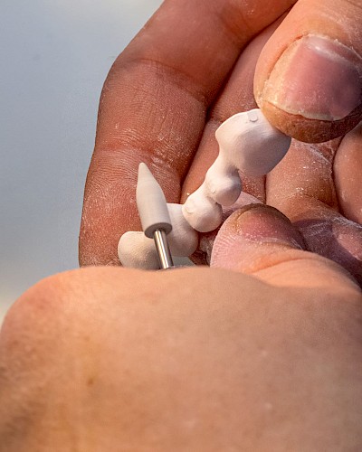 Image from the gallery