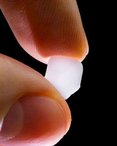 Image from the gallery