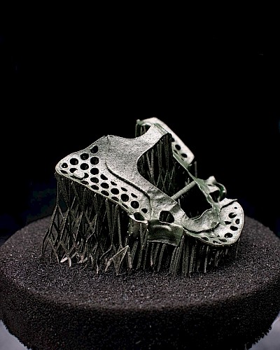 Image from the gallery